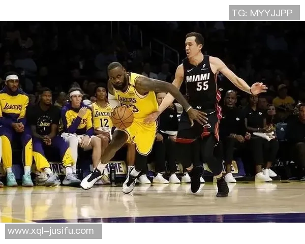 湖人队逆转热火队争夺总冠军第二场精彩回顾与分析